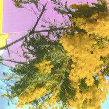 FOUR TET - INTO DUST (STILL FALLING) VINYL (LTD. ED. 12")
