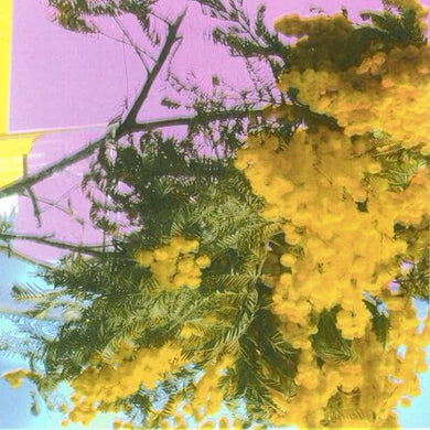 FOUR TET - INTO DUST (STILL FALLING) VINYL (LTD. ED. 12