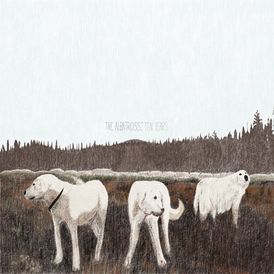 FOXING - THE ALBATROSS: TEN YEARS VINYL (LTD. 10TH ANN. ED. BROWN)