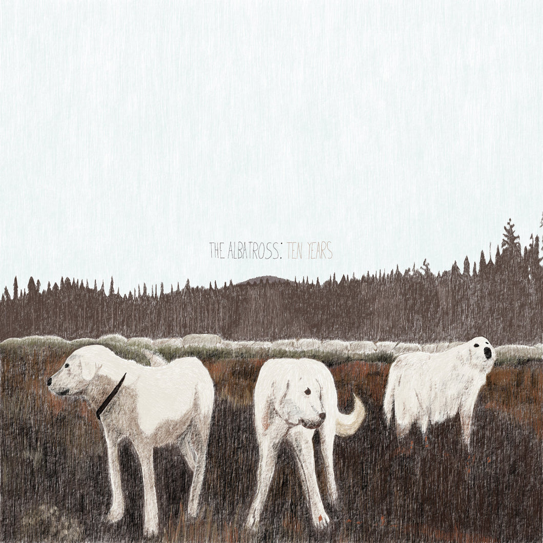 FOXING - THE ALBATROSS: TEN YEARS VINYL (LTD. 10TH ANN. ED. BROWN)