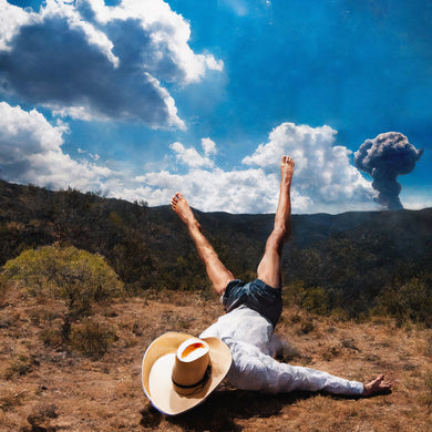 GEESE - 3D COUNTRY VINYL (LTD. ED. CRYSTAL CLEAR)