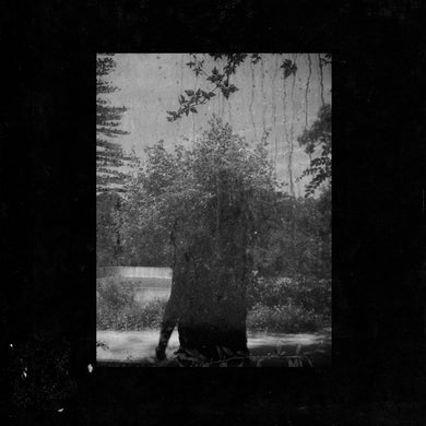 GROUPER - RUINS VINYL RE-ISSUE (LP)