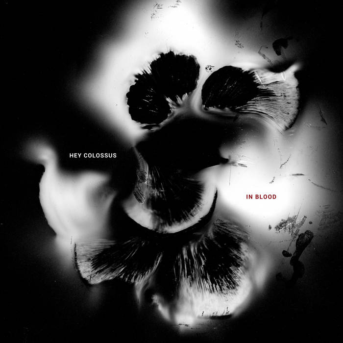 HEY COLOSSUS - IN BLOOD VINYL (LTD. ED. RED)