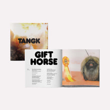 IDLES - TANGK VINYL (LTD. ED. VARIANTS)
