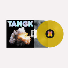 IDLES - TANGK VINYL (LTD. ED. VARIANTS)