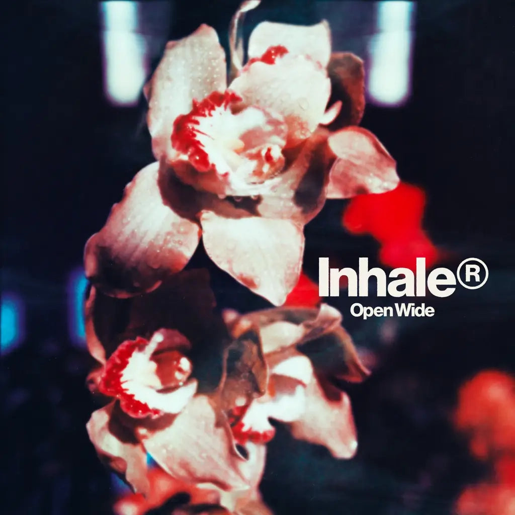 INHALER - OPEN WIDE VINYL (LTD. INDIES EXCL. ED. PINK W/ ALT. ARTWORK)