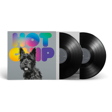 DELUXE 2LP VINYL GATEFOLD W/ MIRROR FOIL & SPOT GLOSS SLEEVE