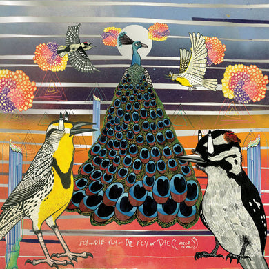 JAIMIE BRANCH - FLY OR DIE FLY OR DIE FLY OR DIE ((WORLD WAR)) VINYL (LP)