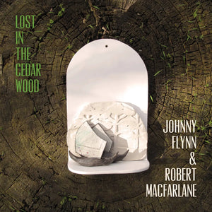 JOHNNY FLYNN - LOST IN THE CEDAR WOOD VINYL RE-ISSUE (LTD. ED. TRANSPARENT GREEN)