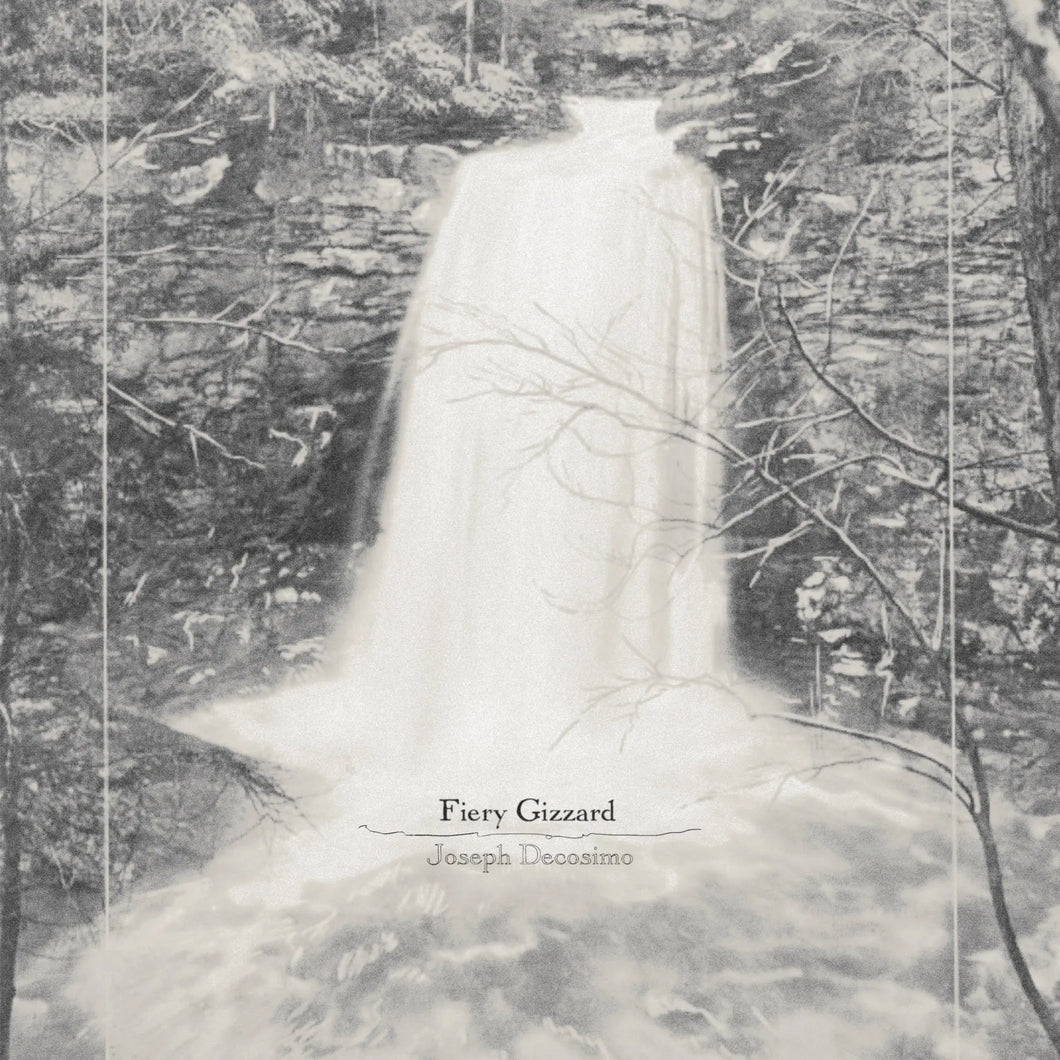 JOSEPH DECOSIMO - FIERY GIZZARD VINYL (LP)