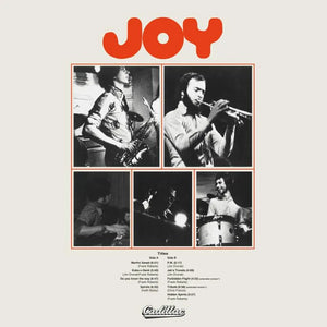 JOY - JOY VINYL RE-ISSUE (LP)