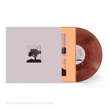 LAND OF TALK - PERFORMANCES VINYL (LTD. ED. ECOMIX)