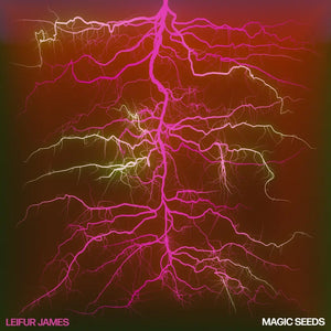 LEIFUR JAMES - MAGIC SEEDS VINYL (LP)