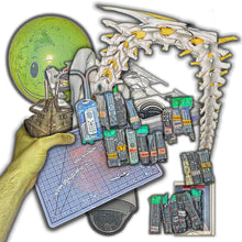 LIP CRITIC - THEFT WORLD VINYL (SUPER LTD. ED. VARINTS W/ *SIGNED* ARTPRINT)