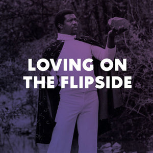 LOVING ON THE FLIPSIDE (SWEET FUNK AND BEAT-HEAVY BALLADS 1969-1977) (VARIOUS ARTISTS) VINYL (2LP)