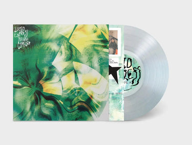 LUCID EXPRESS - INSTANT COMFORT VINYL (LTD. ED. ULTRA CLEAR)