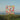 MATTHEW HALSALL - AN EVER CHANGING VIEW VINYL (LTD. ED. CLEAR 2LP)