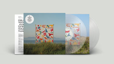 MATTHEW HALSALL - AN EVER CHANGING VIEW VINYL (LTD. ED. CLEAR 2LP)