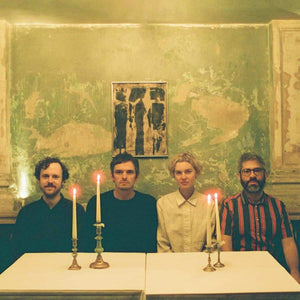 MODERN NATURE - THE HEAT WARPS VINYL (LP)