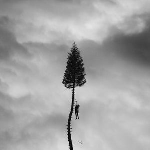 Manchester Orchestra	A Black Mile To The Surface limited edition vinyl