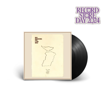 NOEL GALLAGHER'S HIGH FLYING BIRDS - MAGIC SECRETS #2 VINYL (SUPER LTD. ED. 'RSD' NUMBERED 7")