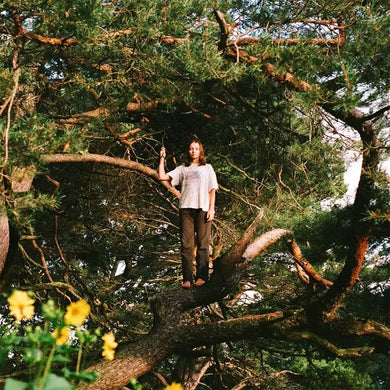 PACKS - MELT THE HONEY VINYL (LTD. ED. GOLD)