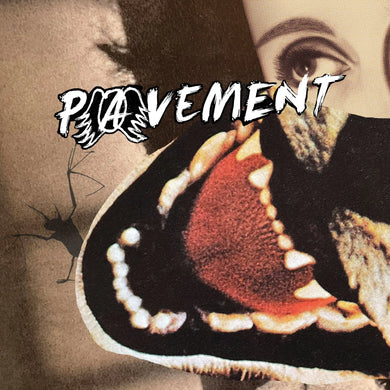 PAVEMENT - HECKLERS CHOICE: BIG GUMS AND HEAVY LIFTERS - A PAVEMENT COLLECTION VINYL (LP)