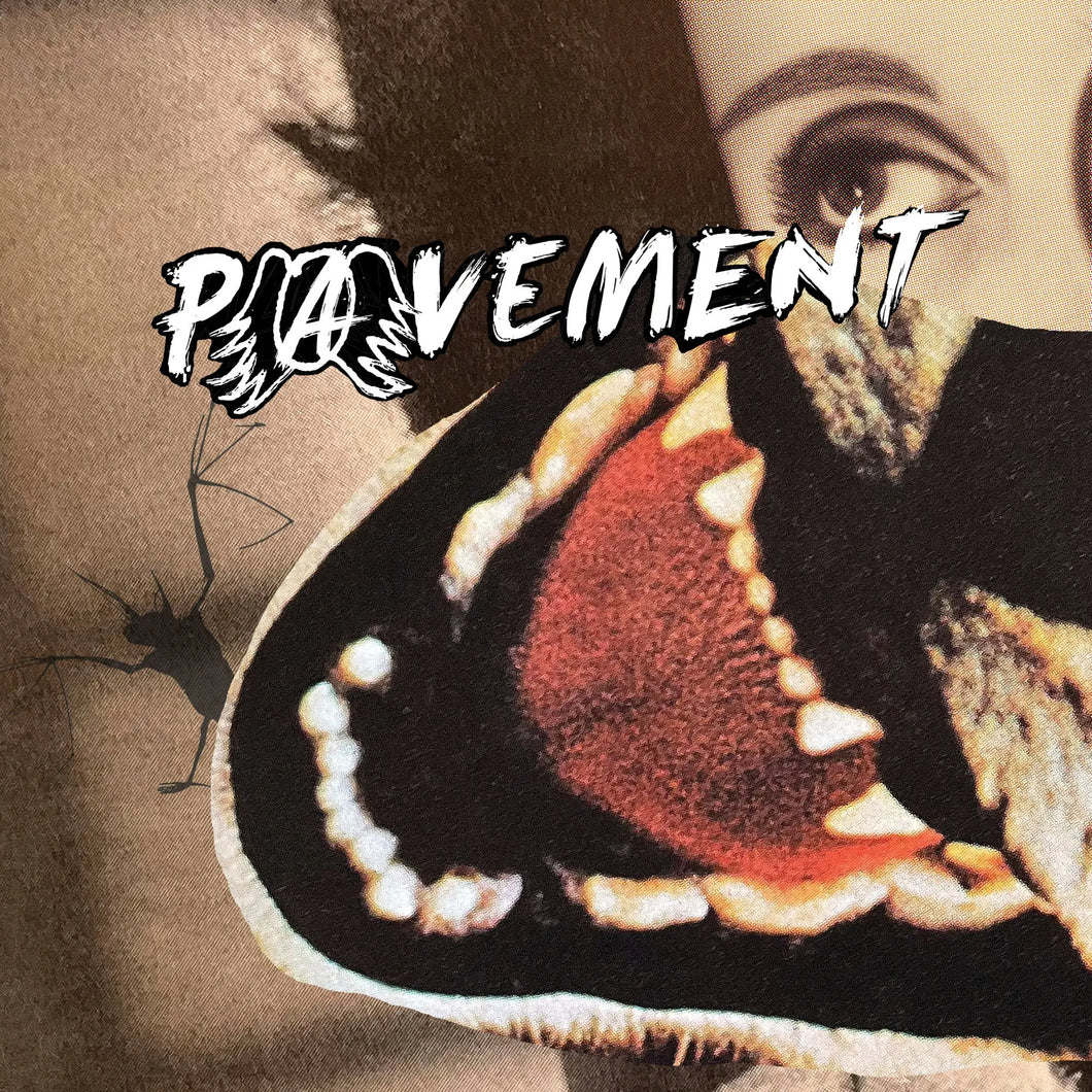 PAVEMENT - HECKLERS CHOICE: BIG GUMS AND HEAVY LIFTERS - A PAVEMENT COLLECTION VINYL (LP)