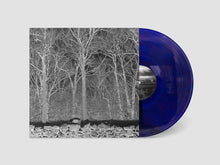 PILE - SUNSHINE AND BALANCE BEAMS VINYL (LTD. ED. TRANSPARENT MIX BORIS PURPLE)