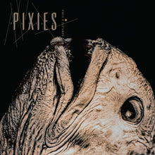 PIXIES - COMPLETE B SIDES: 1988-97 (REMASTERED) VINYL (LTD. ED. CRYSTAL CLEAR 2LP)