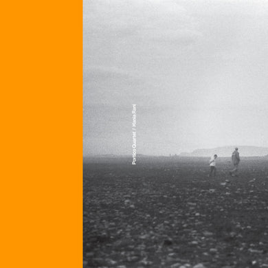 PORTICO QUARTET / HANIA RANI - PORTICO QUARTET / HANIA RANI RE-MIXES VINYL RE-ISSUE (LTD. ED. BIOVINYL 12