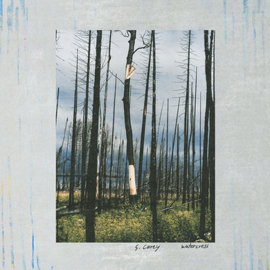 S. CAREY - WATERCRESS VINYL (12