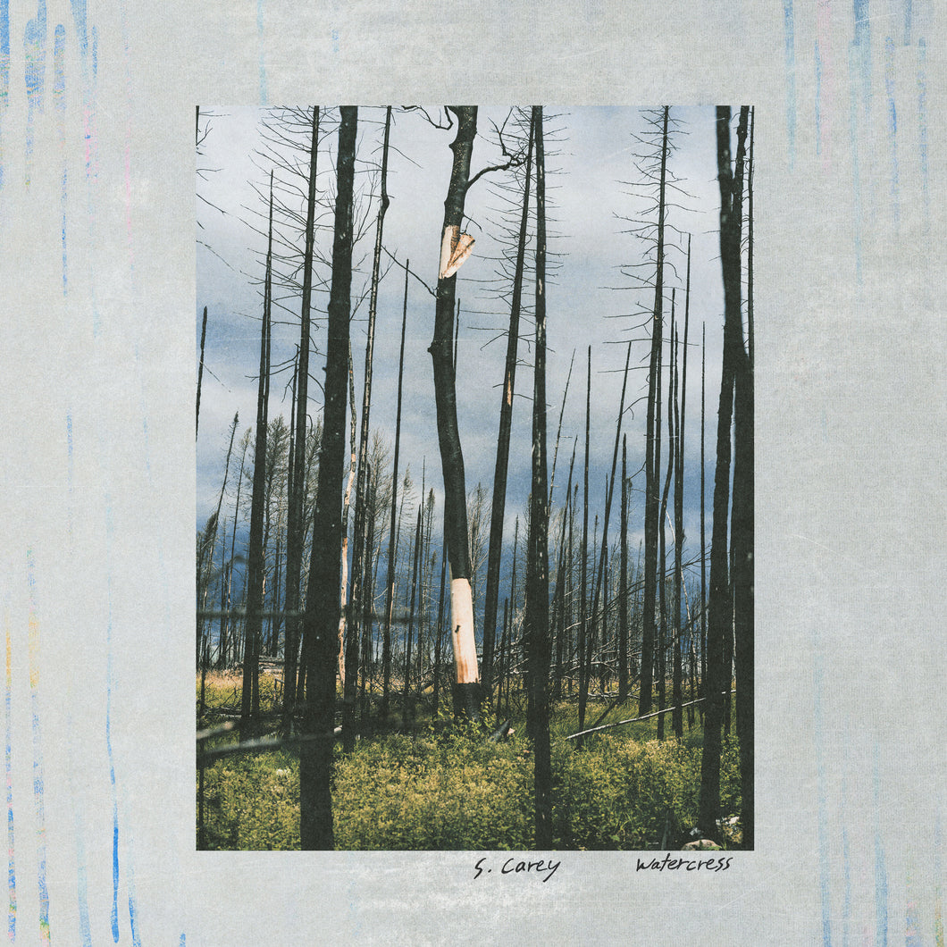 S. CAREY - WATERCRESS VINYL (12
