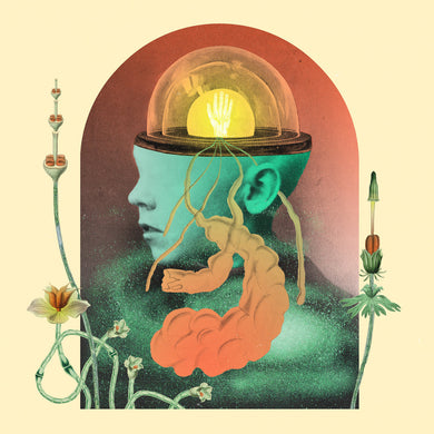 SALAMI ROSE JOE LOUIS - AKOUSMATIKOUS VINYL (LP)