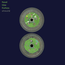 SHOULD - FEED LIKE FISHES VINYL RE-ISSUE (LTD. ED. SPRING GREEN 2LP)