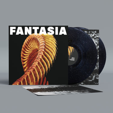 SLIFT - FANTASIA VINYL (LTD. ED. 2LP W/ ETCHED D-SIDE VARIANTS)