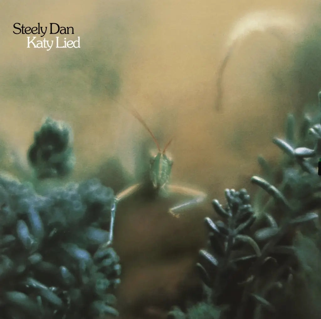 STEELY DAN - KATY LIED VINYL RE-ISSUE (LP)