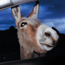 SUPERWORLD - SUPER WORLD VINYL (LTD. ED. JADE GREEN)