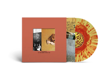 THE FRIGHTS - YOU ARE GOING TO HATE THIS VINYL RE-ISSUE (LTD. DELUXE ED. 'PEPPERONI BURST')