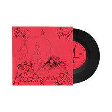 THE LAST DINNER PARTY - BIG DOG / KNOCKING AT THE SKY VINYL (LTD. ED. 7")