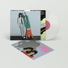 THE LEMON TWIGS - A DREAM IS ALL WE KNOW VINYL (LTD. ED. 'ICE CREAM')