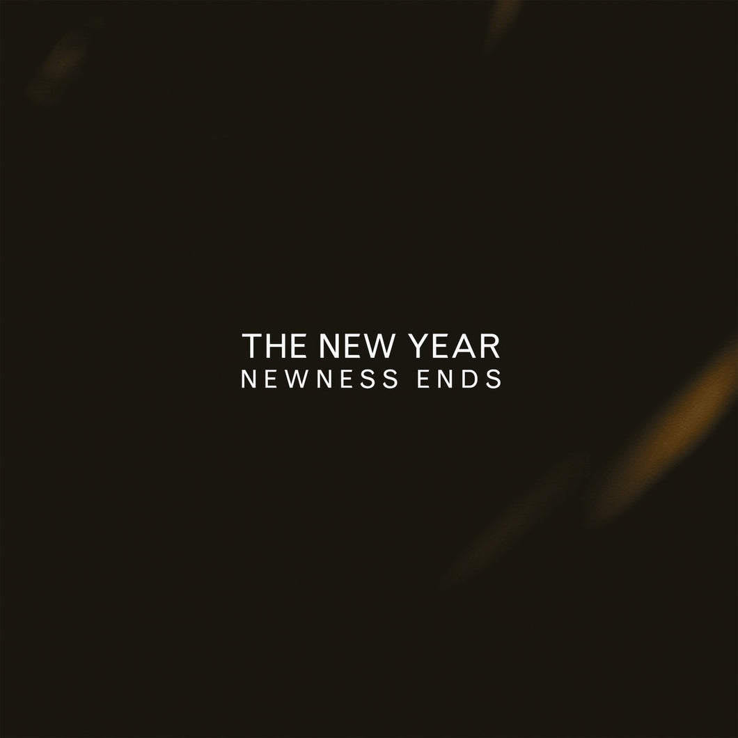 THE NEW YEAR - NEWNESS ENDS VINYL RE-ISSUE (LP)