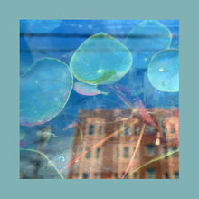 THE REDS, PINKS AND PURPLES - ACKNOWLEDGE KINDNESS VINYL (LTD. UK INDIES ED. VARIANTS)