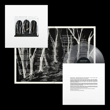 THESE NEW PURITANS - CROOKED WIND VINYL (LTD. ED. CLEAR)