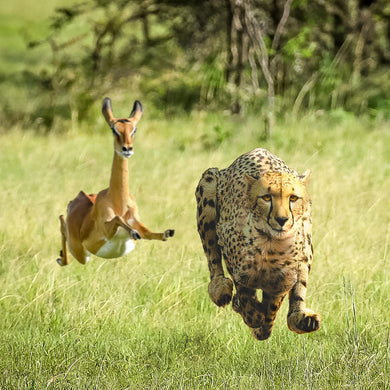 THUNDERCAT & TAME IMPALA - NO MORE LIES VINYL (LTD. ED. CLEAR 7