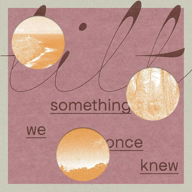 TILT - SOMETHING WE ONCE KNEW VINYL (LTD. ED. LP)