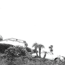 TIMBER TIMBRE - HOT DREAMS VINYL RE-ISSUE (LTD. ED. CLEAR / SMOKE MARBLE)