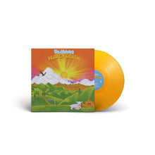 TIM HEIDECKER - FEAR OF DEATH VINYL RE-ISSUE (LTD. ED. GOLDEN SUNSET)