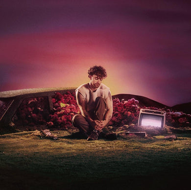 TOM GRENNAN - WHAT IFS & MAYBES (DUSK EDITION) VINYL (SUPER LTD. ***SIGNED*** ED. 'RSD' TRI COLOURED MARBLED)