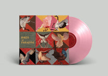 THOMAS DOLLBAUM - BIRDS OF PARADISE VINYL (LTD. ED. 'ROSEATE SPOONBILL' PINK)